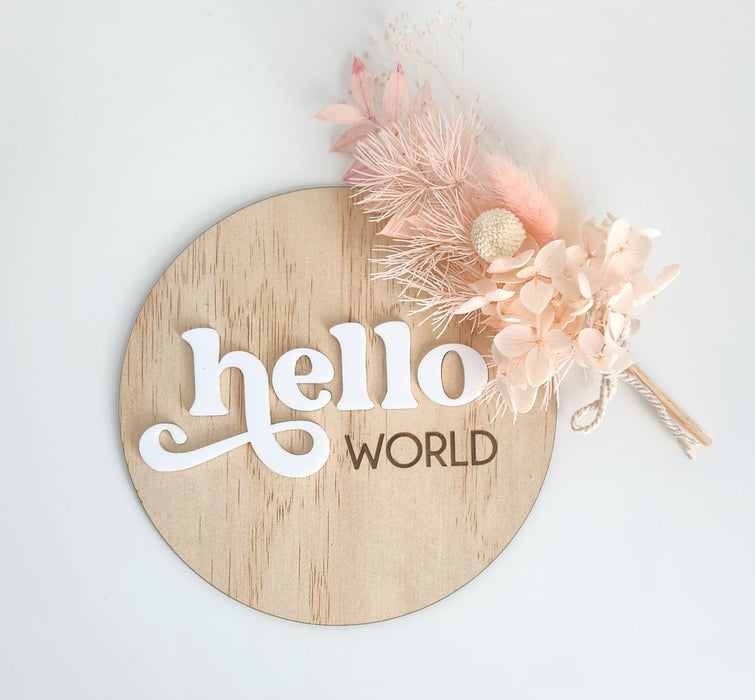 'HELLO WORLD' V2 ACRYLIC ANNOUNCEMENT PLAQUE