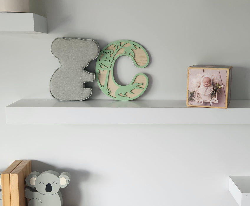 AUSSIE ANIMALS WOODEN AND ACRYLIC LETTERS